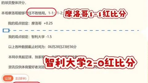 世界杯 113001